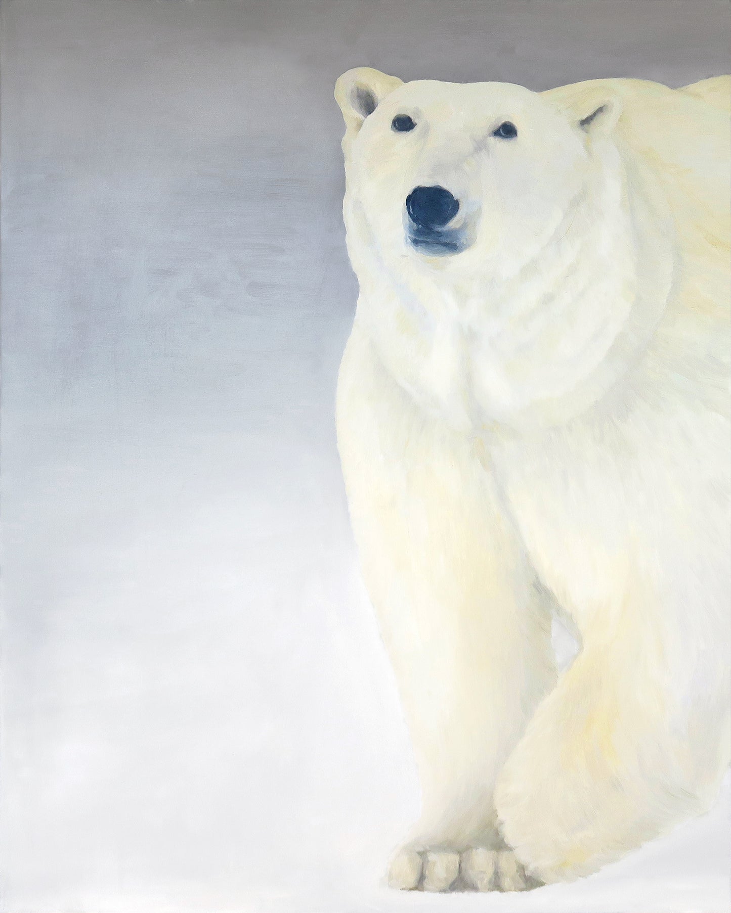Ours Polaire